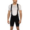 Picture of ENDURA FS260-PRO BIB SHORTS